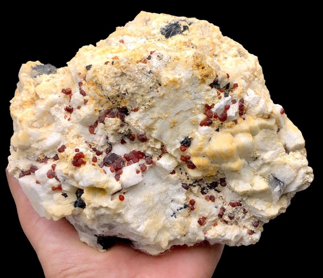 1.5 KG Garnet Crystals Cluster With Feldspar & Black Tourmaline - 160X110X100 mm: 1.5 KG Garnet Crystals Cluster With Feldspar & Black Tourmaline - 160X110X100 mm Shipping Rate: $65.00 .shipping rates are determined by Parcel weight and destination.Combined shipping: We offer combi