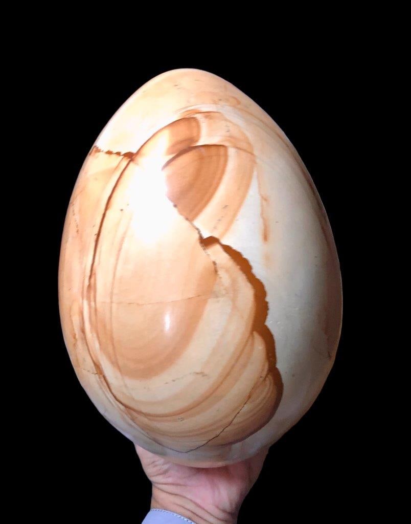 Wood Coral Healing EGG - 11 KG (1 of 6)