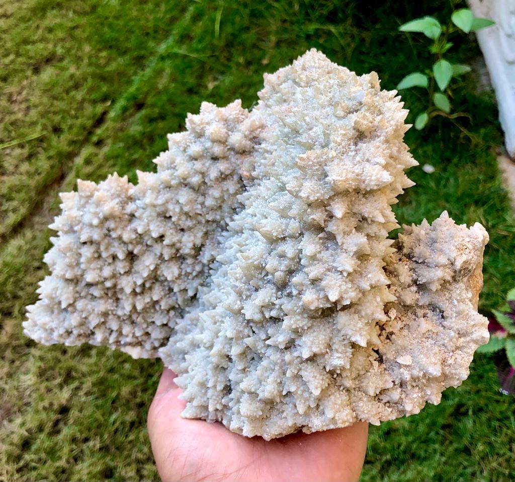 Dogtooth Calcite Crystals Cluster Undamaged Specimen - 3 KG - 220X150X130 mm: Dogtooth Calcite Crystals Cluster Undamaged Specimen - 3 KG - 220X150X130 mmShipping Rate: FREE SHIPPING.00 .shipping rates are determined by Parcel weight and destination.Combined shipping: We offer