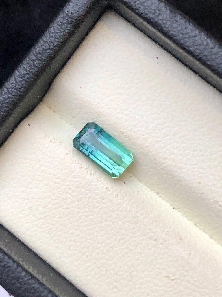1.50 CARATS BI COLOUR TOURMALINE GEMSTONE - 9X5X4 mm (1 of 3)