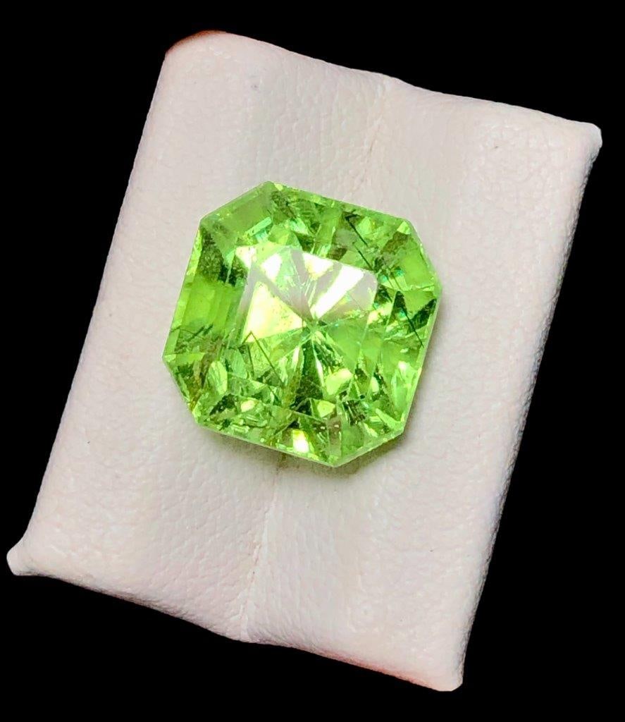 Square Step Cut Natural Rutiled Peridot - 7.60 Carats - 11X11X9 mm: Square Step Cut Natural Rutiled Peridot - 7.60 Carats - 11X11X9 mmShipping Rate: FREE SHIPPINGshipping rates are FREE WORLDWIDECombined shipping: We offer combine shipping on multiple items purchased