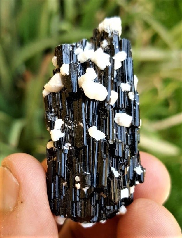 Black Tourmalines in Mica - 39.90 Grams: Black Tourmalines in Mica - 39.90 Grams - 52X26X25 mmShipping Rate: $23.00 .shipping rates are determined by Parcel weight and destination.Combined shipping: We offer combine shipping on multiple item