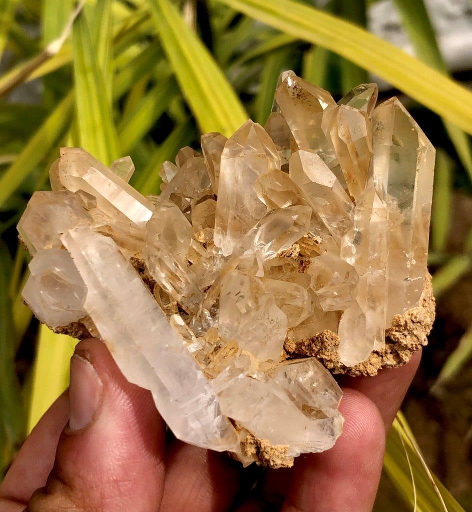 Quartz Cluster - 104 Grams - 72X6734X mm (1 of 3)