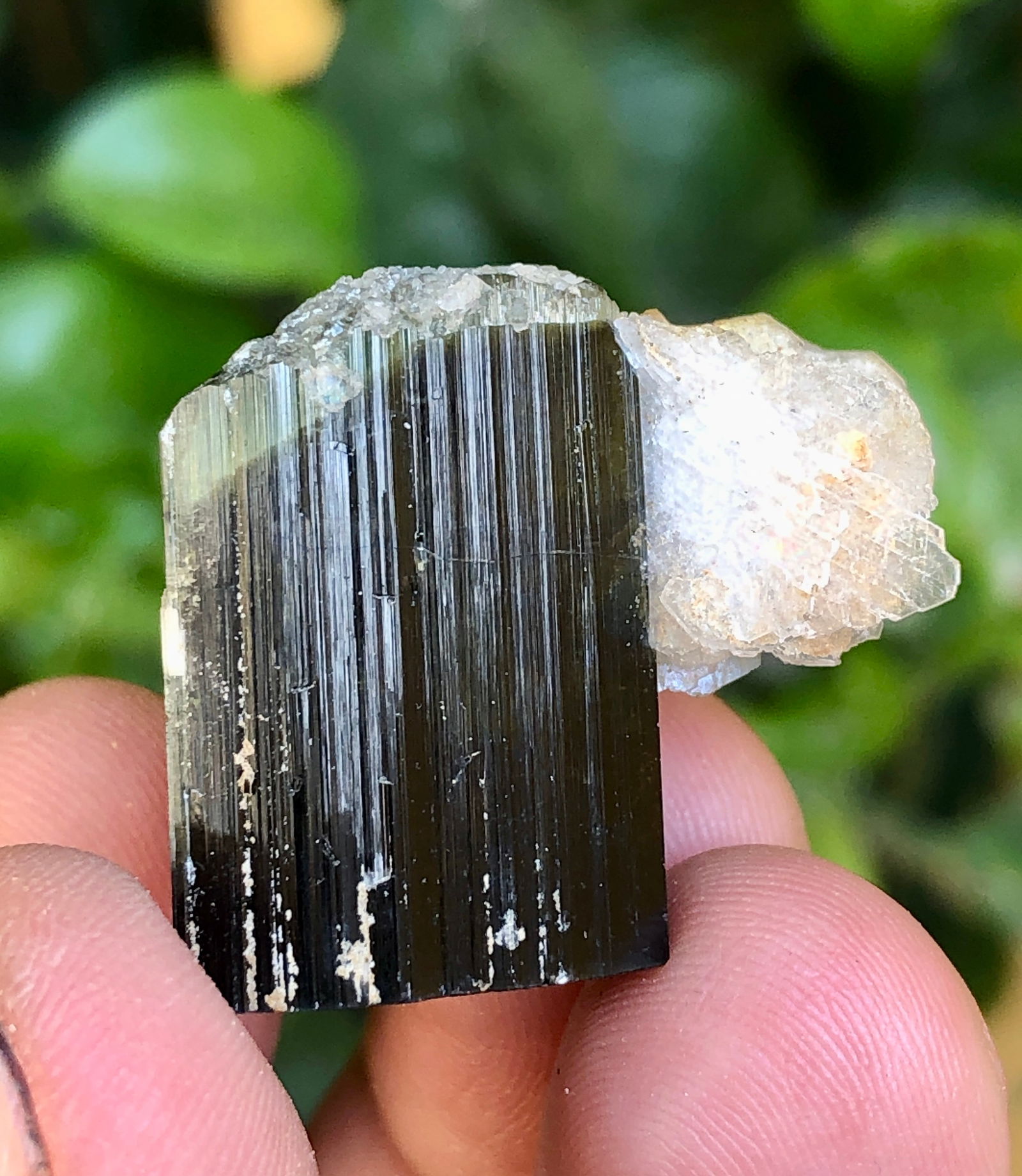 Terminated Green Cab Tourmaline Crystal With Feldspar - 14.99 Grams - 20X18X15 mm (1 of 4)