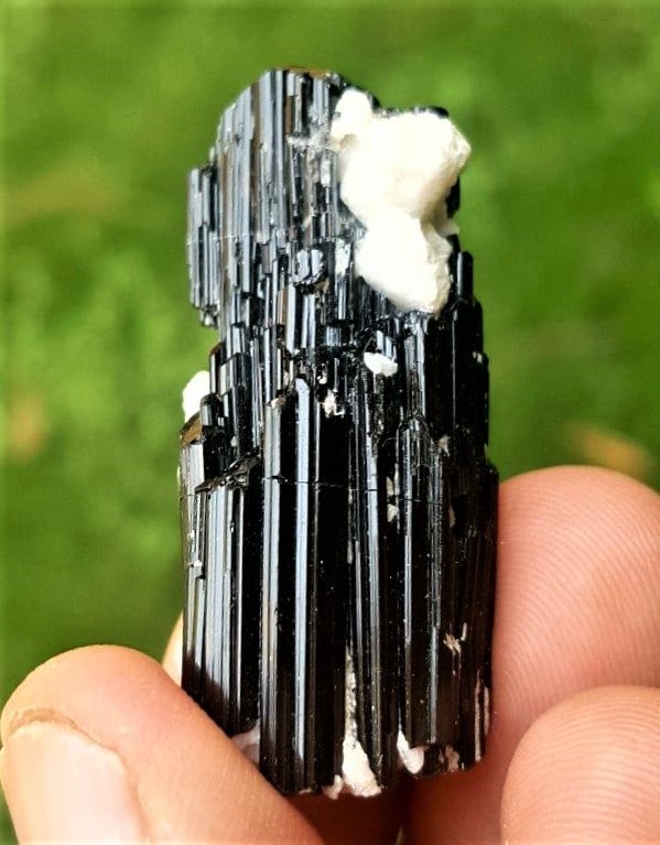Black Tourmalines in Mica Schist Matrix - 16 Grams: Black Tourmalines in Mica Schist Matrix - 16 Grams - 40X18X18 mmShipping Rate: $23.00 .shipping rates are determined by Parcel weight and destination.Combined shipping: We offer combine shipping on mu