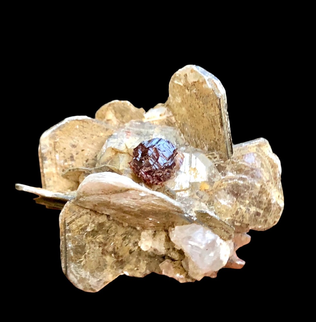 Garnet Mineral On Mica - 10 grams - 33X28X19 mm: Garnet Mineral On Mica - 10 grams - 33X28X19 mmShipping Rate: $23.00 .shipping rates are determined by Parcel weight and destination.Combined shipping: We offer combine shipping on multiple items purc