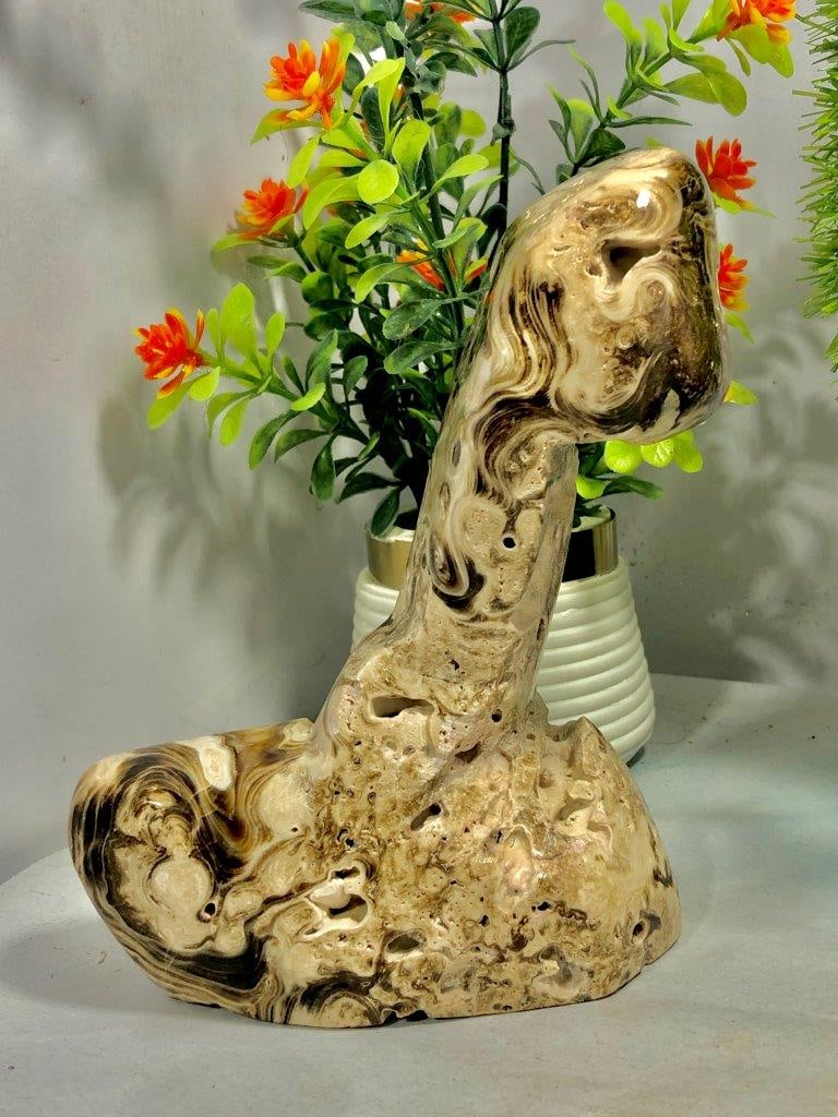 950 Unusual Shape Choclate Calcite Healing Tumblr: 950 Unusual Shape Choclate Calcite Healing Tumblr shipping Cost: FREE SHIPPINGshipping rates are determined by Parcel weight and destinat