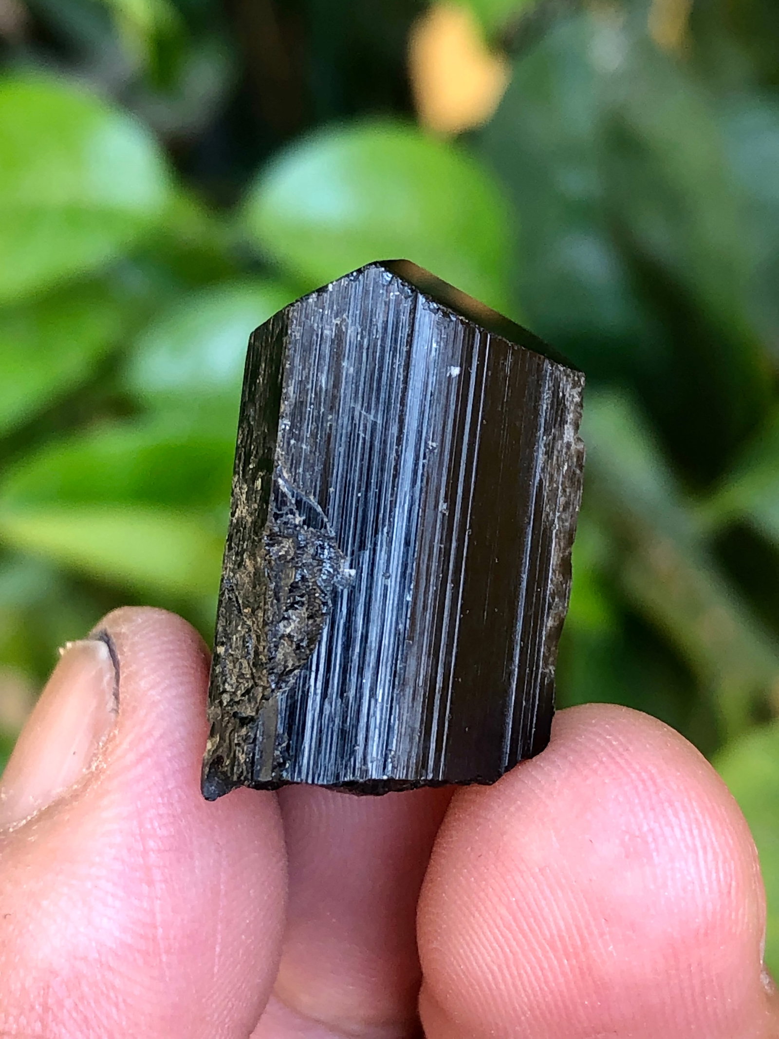 Terminated Black Tourmaline Crystal - 12.10 Grams - 20X15X10 mm: Terminated Black Tourmaline Crystal - 12.10 Grams - 20X15X10 mm Shipping: 23$shipping rates are determined by Parcel weight and destinati