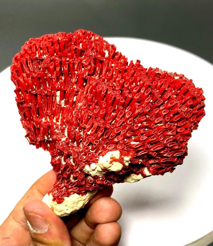 Fantastic Coral Deep Colour Crystal Specimen - 131 Grams - 120X95X35 mm: Fantastic Coral Deep Colour Crystal Specimen - 131 Grams - 120X95X35 mmShipping Rate: $23.00 .shipping rates are determined by Parcel weight and destination.Combined shipping: We offer combine shippin