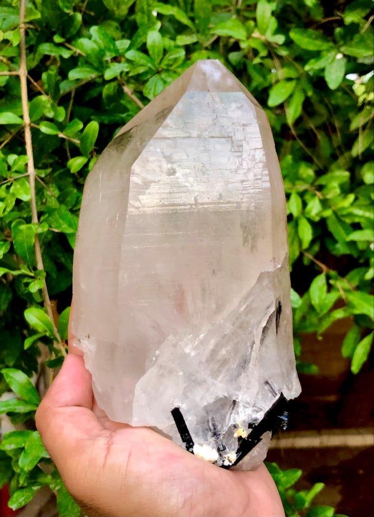 Perfect Quartz With Black Tourmaline in Bottom - 170X103X58 mm: Perfect Quartz With Black Tourmaline in Bottom - 170X103X58 mmShipping Rate: $60.00 .shipping rates are determined by Parcel weight and destination.Combined shipping: We offer combine shipping on mult