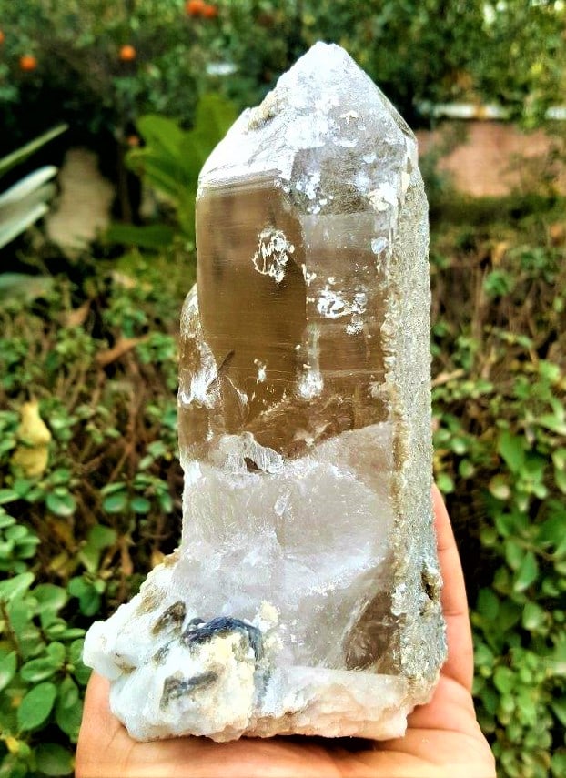 Big Size Smoky Quartz Natural Healer - 1040.7 Grams: Big Size Smoky Quartz Natural Healer - 1040.7 Grams - 185X86X70 mmShipping Rate: $75.00 .shipping rates are determined by Parcel weight and destination.Combined shipping: We offer combine shipping on