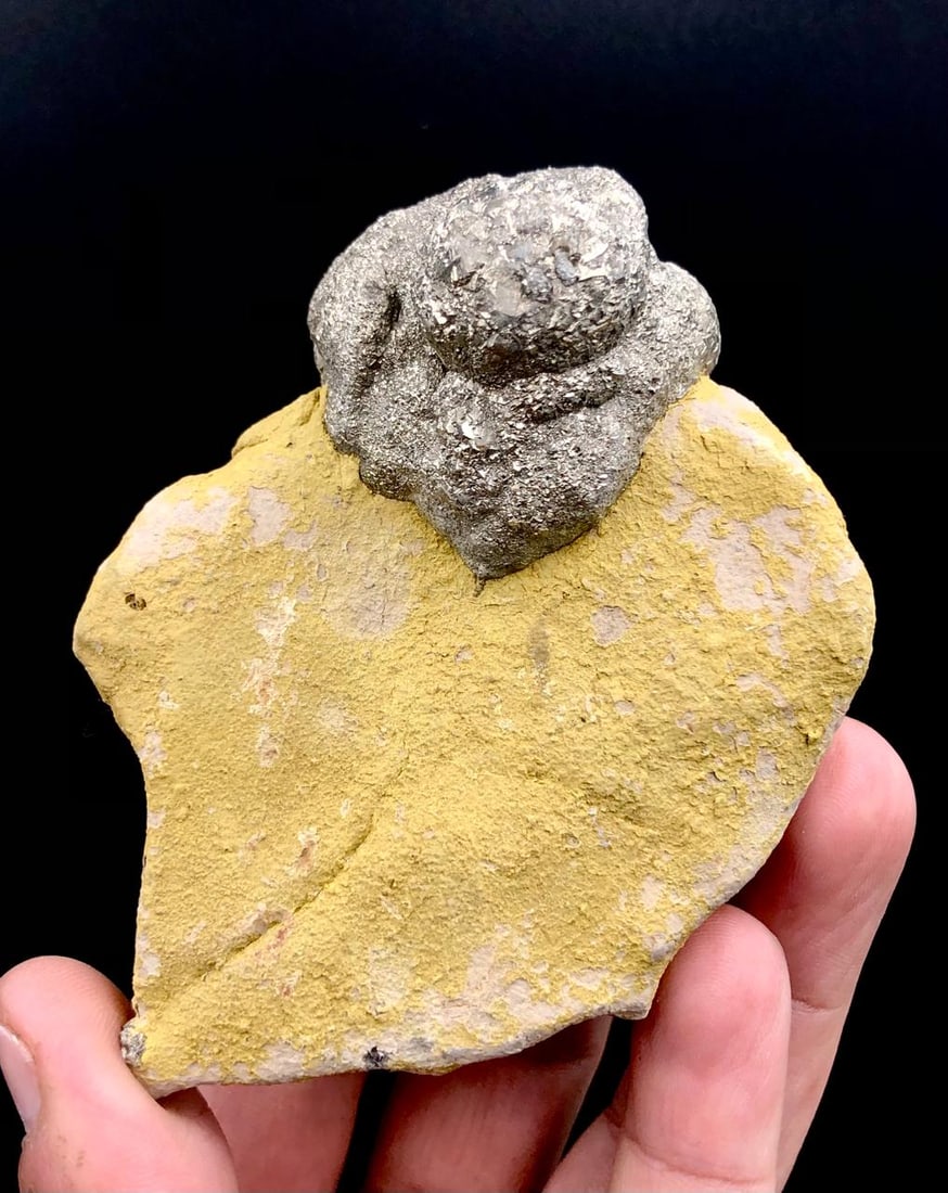 Pyrite Crystal On Matrix Specimen: Sparkling Beauty From Earth's Depths From Pakistan - 267 Grams - (1 of 3)