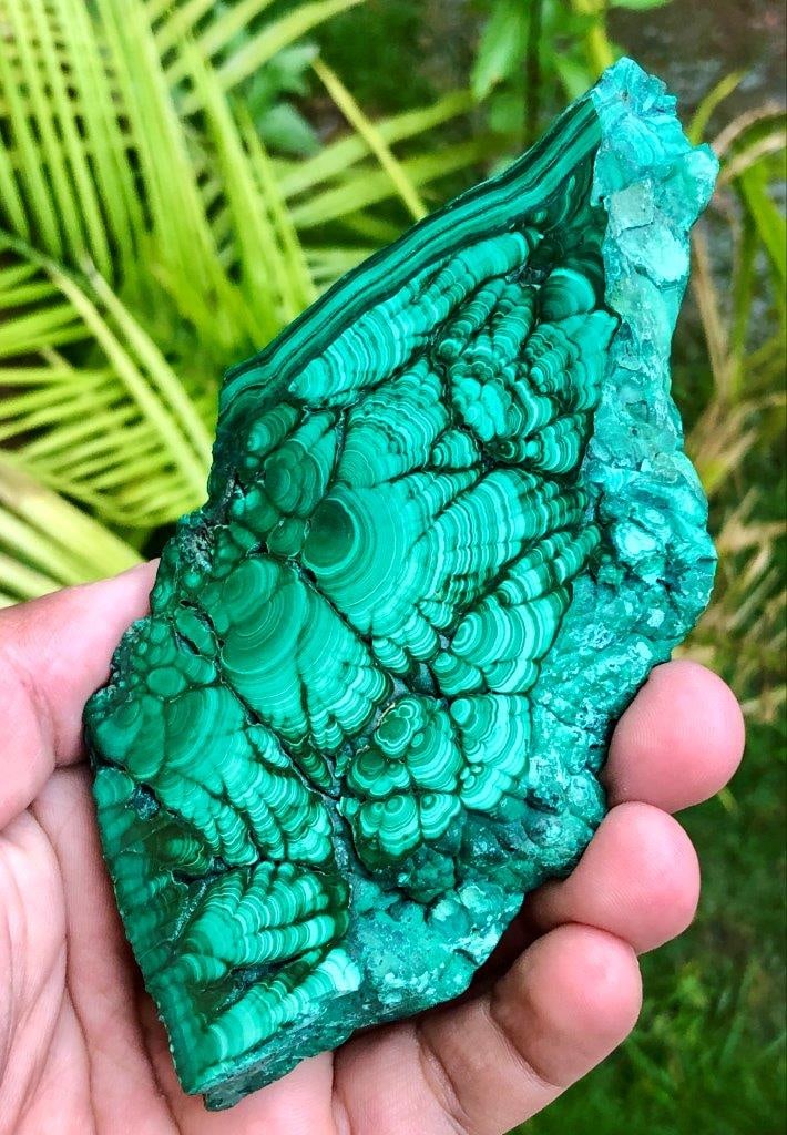 366g Natural Malachite Slice ? 14 x 7 x 1.5 cm Polished Green Crystal Slab, Banded Mineral Specimen: Showcase the striking beauty of this Beautiful Natural Malachite Slice, a captivating mineral specimen known for its rich green color and distinctive banded patterns. Expertly polished to enhance its 