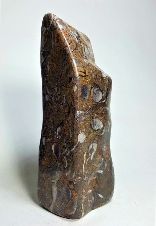 Polished Choclate Jasper - 1410 Grams: Polished Choclate Jasper - 1410 Grams - 190X63X62 mmShipping Rate: $80.00 .shipping rates are determined by Parcel weight and destination.Combined shipping: We offer combine shipping on multiple items