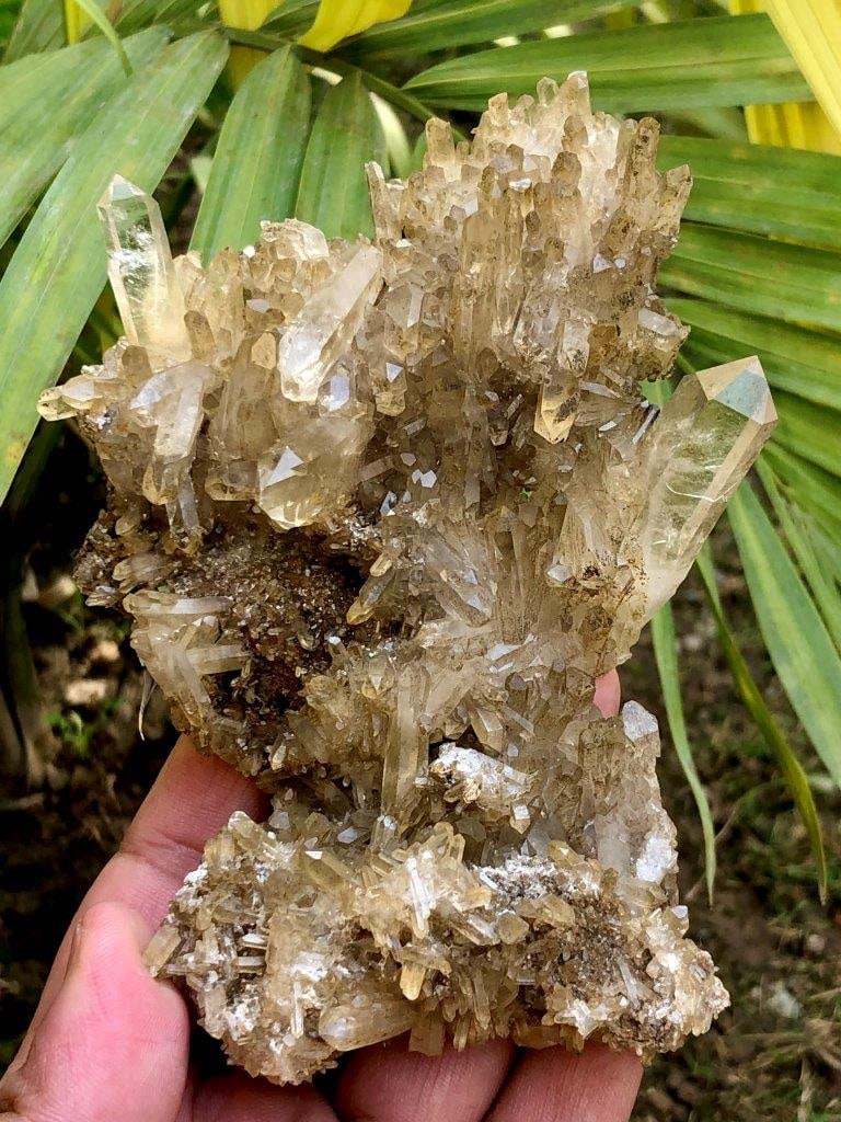 Golden Quartz Cluster Mineral - 200 Grams - 138X89X35 mm: Golden Quartz Cluster Mineral - 200 Grams - 138X89X35 mmShipping Rate: $36.00 .shipping rates are determined by Parcel weight and destination.Combined shipping: We offer combine shipping on multiple i
