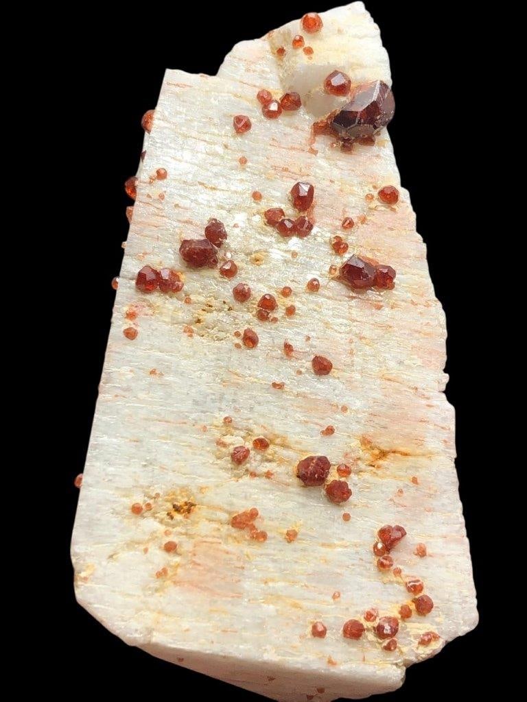 Beautiful Garnet Crystals Cluster Mineral Specimen: Beautiful Garnet Crystals Cluster Mineral Specimen Shipping Rate: $45.00 .shipping rates are determined by Parcel weight and destination.Combined shipping: We offer combine shipping on multiple items 
