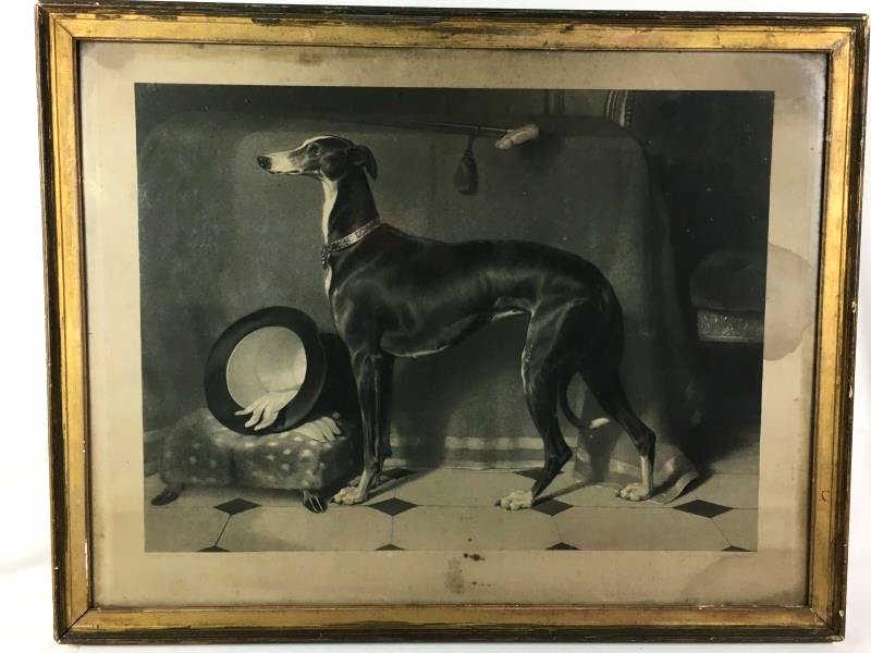 Steel Engraving of Greyhound: Steel Engraving of Greyhound, standing near animal footstool, top hat, white gloves and cane, lower left - painted by Edwin Landseer Pratt, lower right engraved by Thomas Landseer, extensive water dam