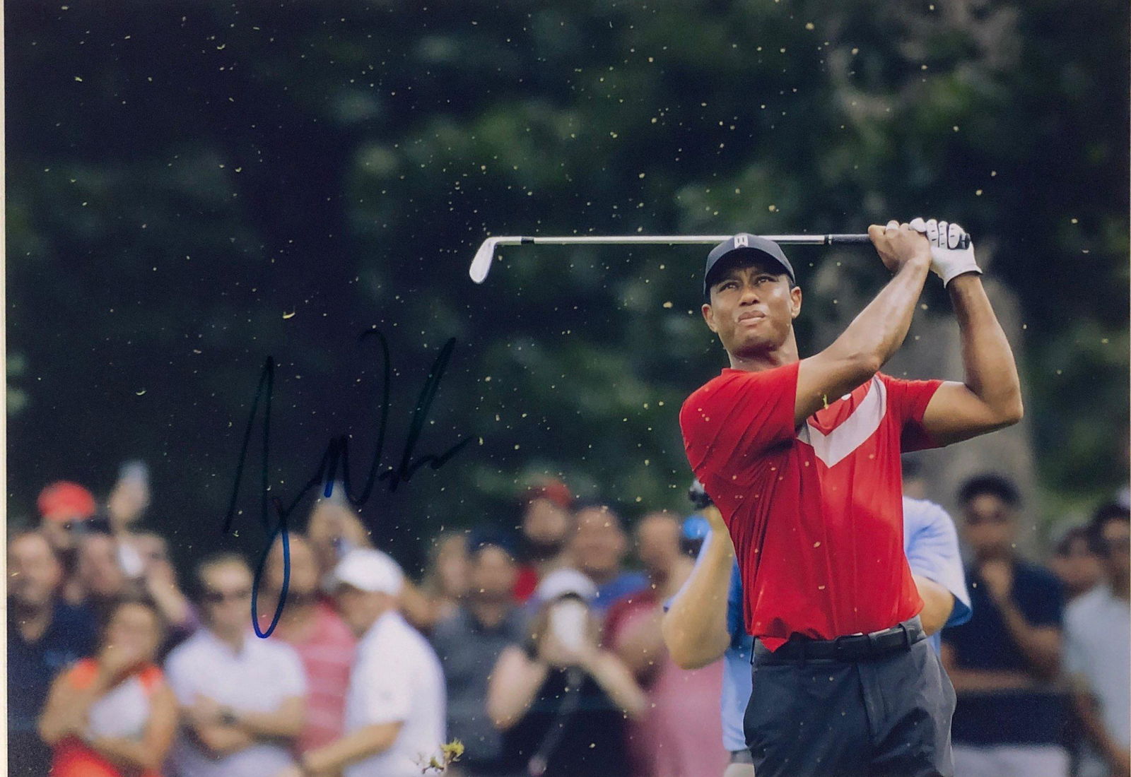 Golf Signed Photo Tiger Woods: Our company has been collectibles business since 2008. All items are unique and valuable for all the collectors. Our company is all online based and will be shipping from our warehouses or different c