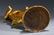 TIBETAN GILT BRONZE STANDING BUDDHA STATUE - 11