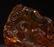 CHINESE AMBER CARVED FISH PATTERN BRUSH WASHER - 4