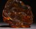 CHINESE AMBER CARVED FISH PATTERN BRUSH WASHER - 5
