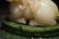 A CHINESE BEAST SHAPE WHITE JADE TABLE ITEM - 3