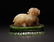 A CHINESE BEAST SHAPE WHITE JADE TABLE ITEM - 4