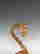 item-110764824=6