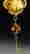 item-111175975=5