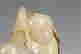 item-112238651=4