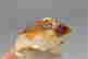 item-112238651=7