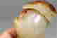 item-112238651=8