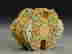 item-116830699=4