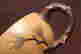 item-116830704=7