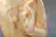 item-116830705=3
