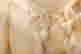 item-116830705=4