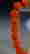 item-116830706=5