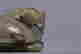 item-116830709=5