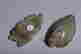 item-116830709=9