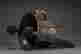 item-120806135=10