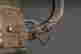 item-120806135=5