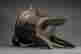 item-120806135=9