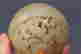 item-120806137=7