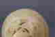 item-120806137=9