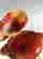 item-120806144=8