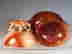 item-120806144=9