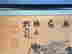 item-120806152=5
