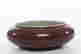 item-120806154=2