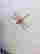 item-120806508=4