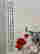item-120806509=3